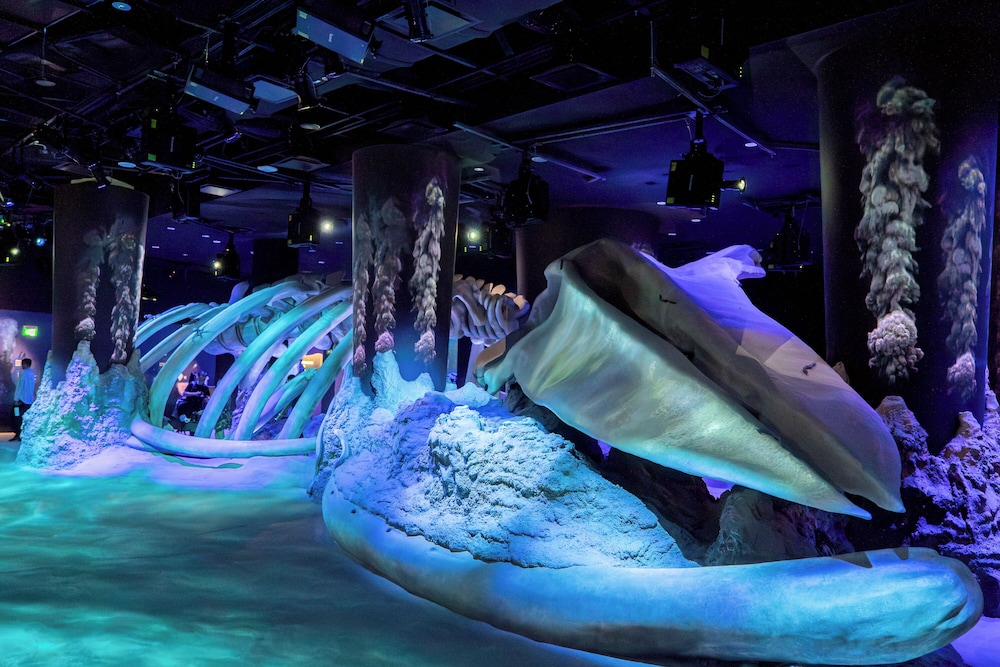 3D2N Seas The Day – Deluxe Room with Singapore Oceanarium Tickets for 2 persons 3D2N Seas The Day – Deluxe Room with Singapore Oceanarium Tickets for 2 persons