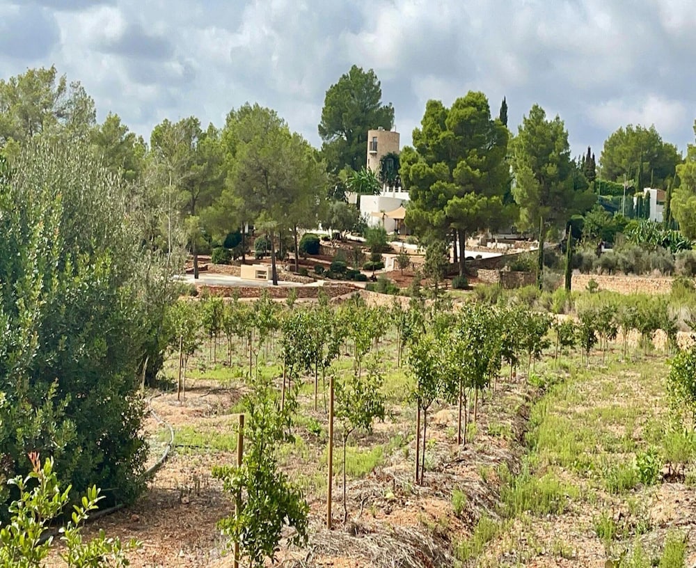 Villa photo 2
