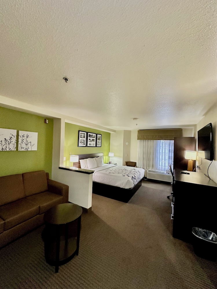 Suite, 1 King Bed with Sofa bed, Non Smoking photo 3