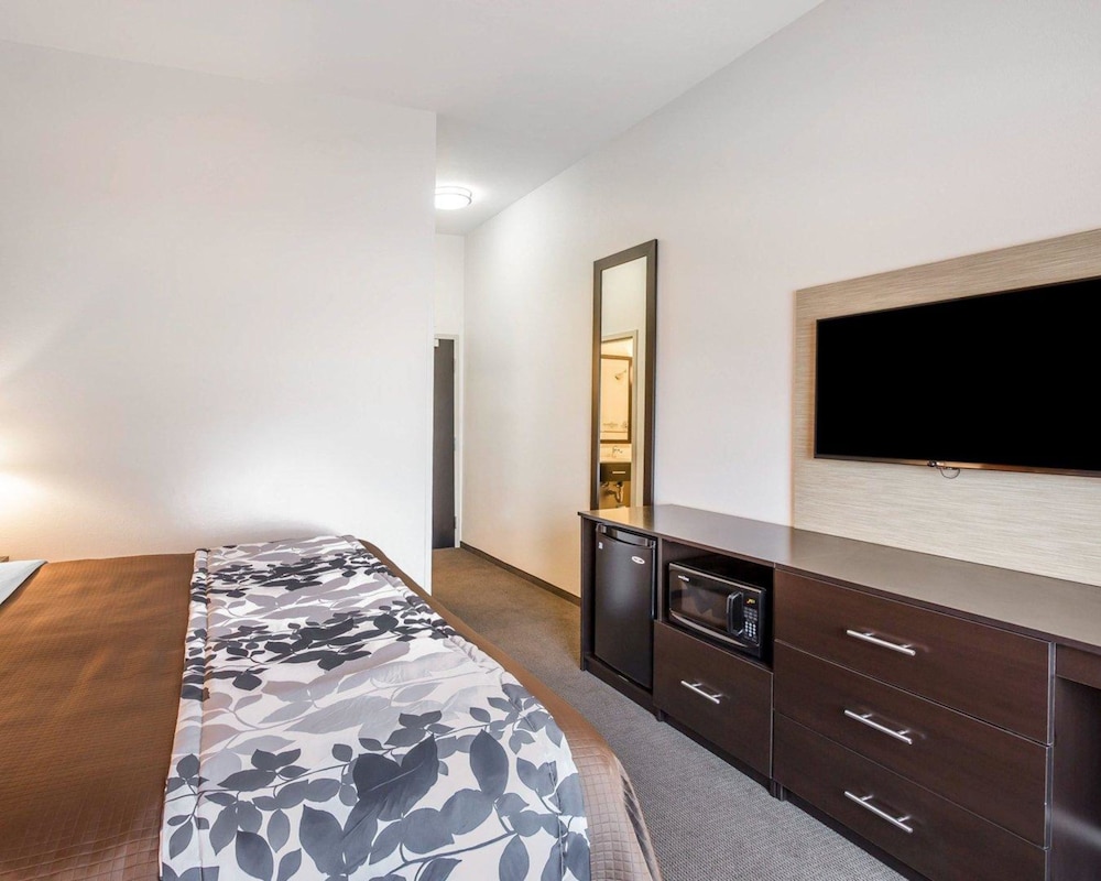 Standard Room, 1 King Bed, Non Smoking photo 1