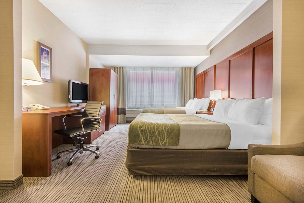Suite (2 Queen Beds, Sofa Bed) photo 3