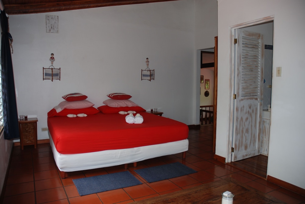 Superior Room, 1 King Bed (A/C- Adults Only)