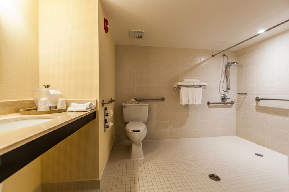 Standard Room, 1 King Bed, Accessible (Mobility, Roll-In Shower)