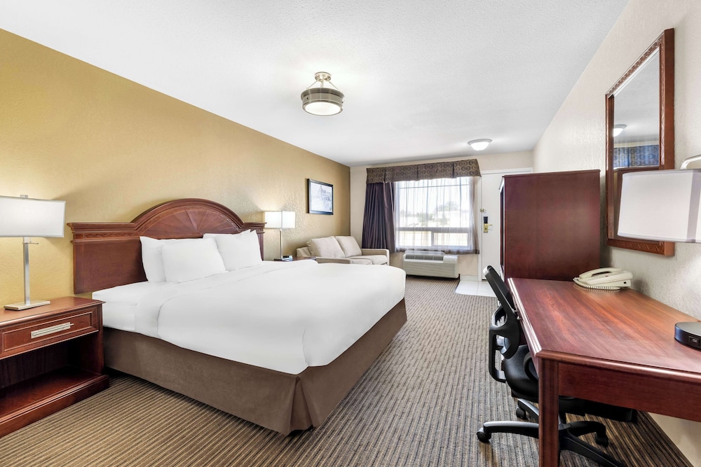 Standard Room, 1 King Bed, Non Smoking, Refrigerator & Microwave (with Sofabed) - Photo 2
