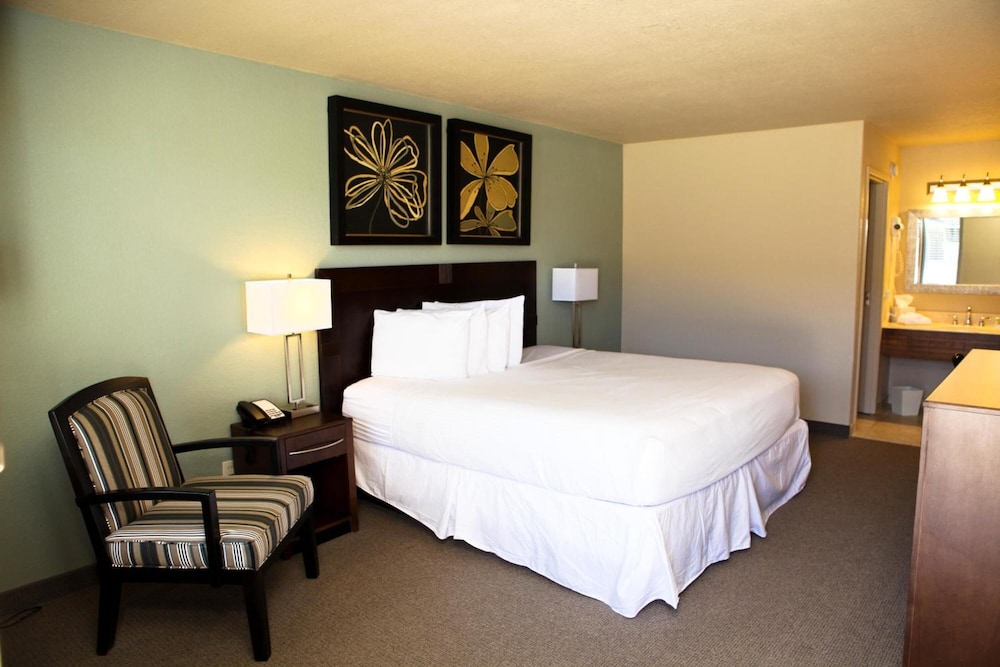 Executive one king bed non smoking - Photo 5