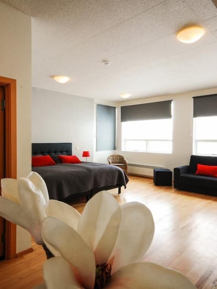 Superior Double Room, 1 King Bed with Sofa bed, Private Bathroom, Ocean View photo 3