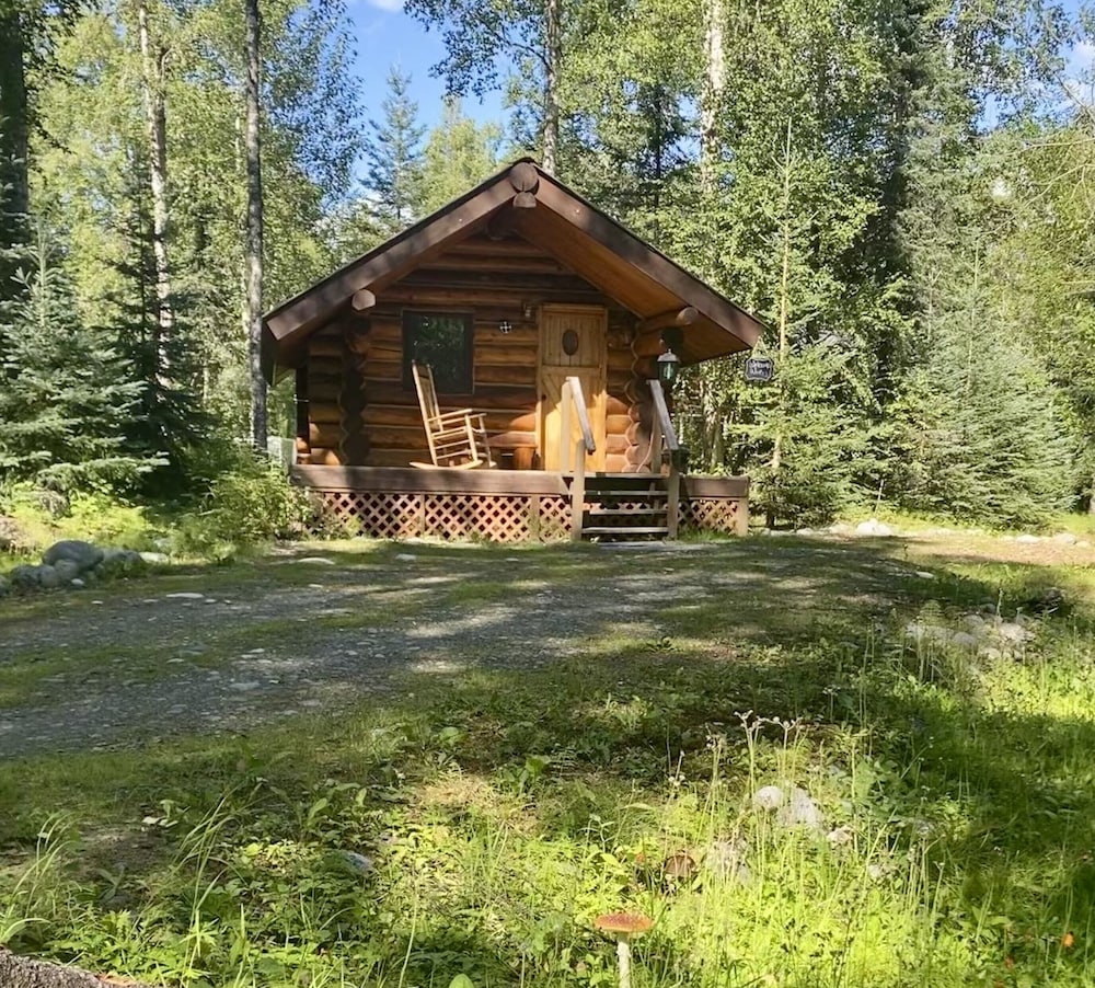 Cozy Moose Cabin (No Running Water) photo 2