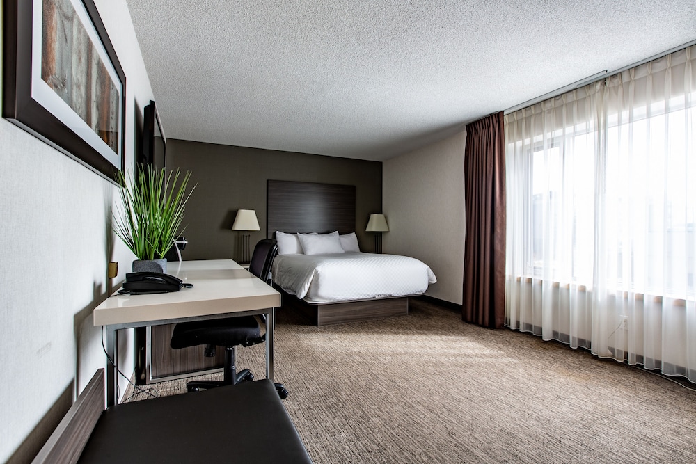 Standard Room, 1 Queen Bed photo 1