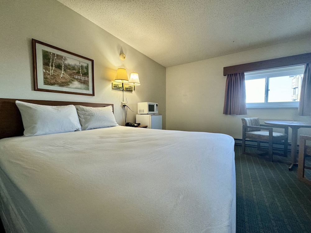 Standard Single Room, 1 Queen Bed photo 1