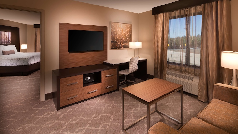 Standard Room, 1 King Bed, Non Smoking, Refrigerator & Microwave (Larger Room;with Sofabed) photo 2