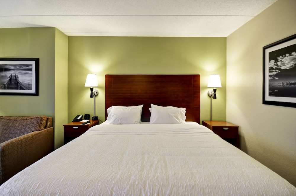 Room, 1 King Bed with Sofa bed photo 3