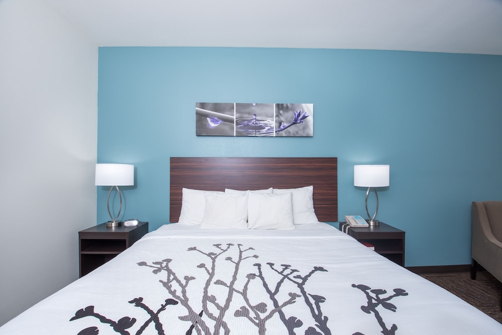 Standard Room, 1 King Bed, Non Smoking - Photo 2