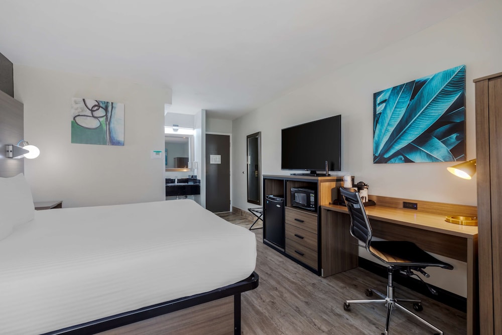 Standard Room, 1 King Bed, Non Smoking, Refrigerator & Microwave - Photo 2
