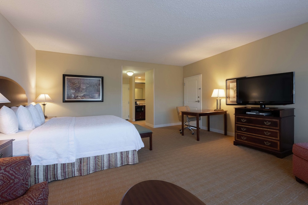 Suite, 1 King Bed, Non Smoking photo 2
