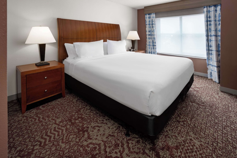 Junior Single Room, 1 King Bed photo 3