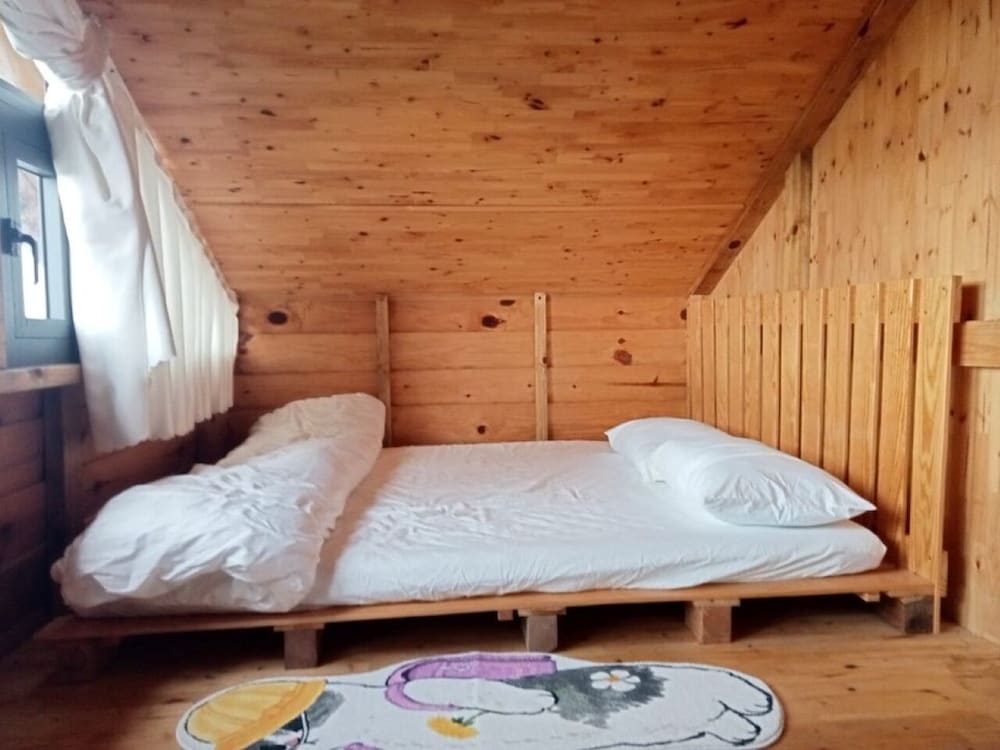 Panoramic Shared Dormitory photo 3