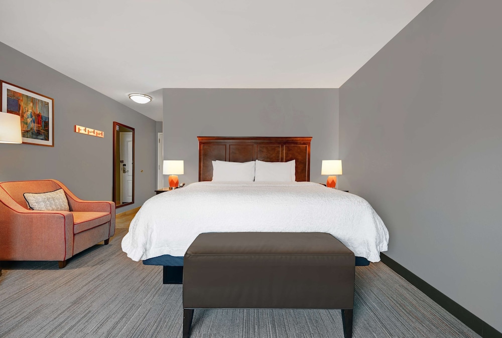 Room, 1 King Bed, Accessible, Non Smoking