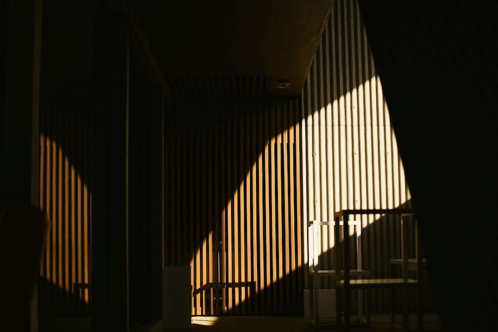 Jonathan Hasegawa photo 3