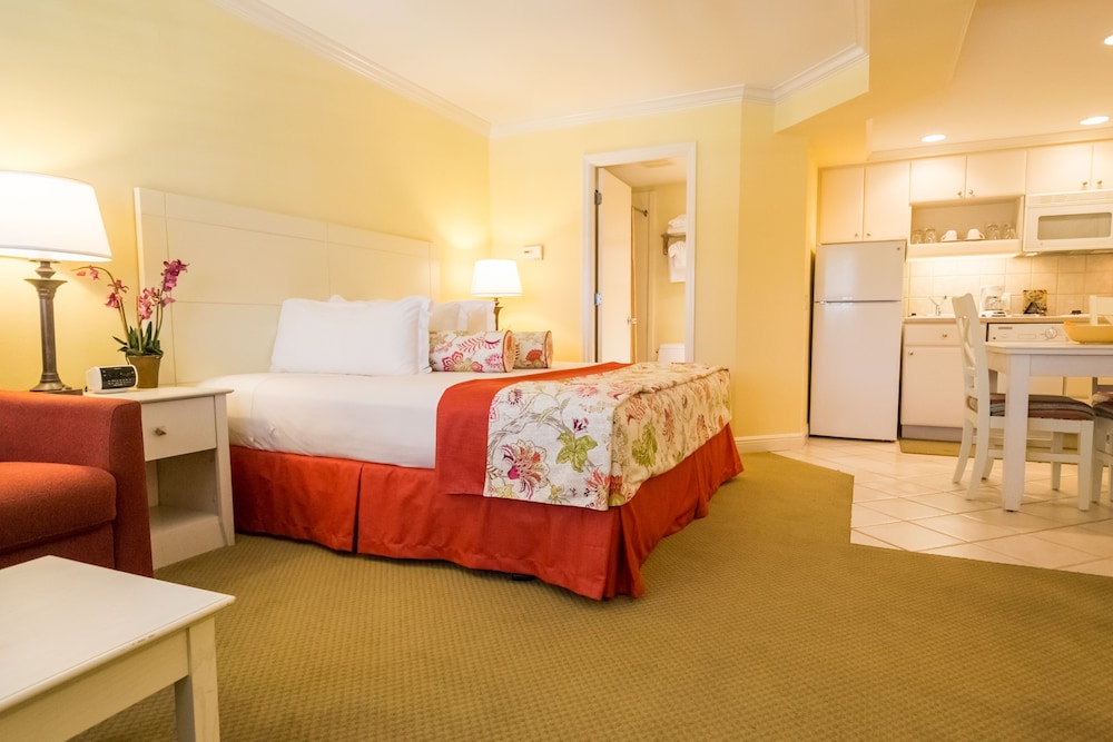 Deluxe Studio, 1 King Bed, Beach View photo 3