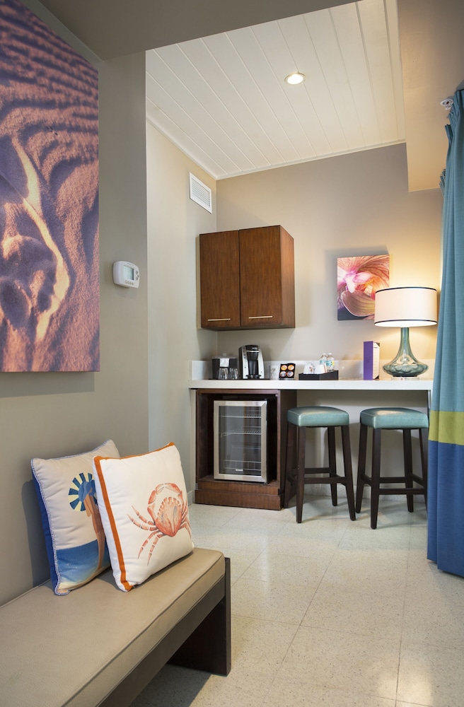 Junior Spa King Suite photo 2