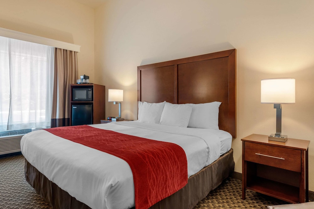 Room, 1 King Bed, Accessible, Non Smoking (Bathtub) - Photo 3
