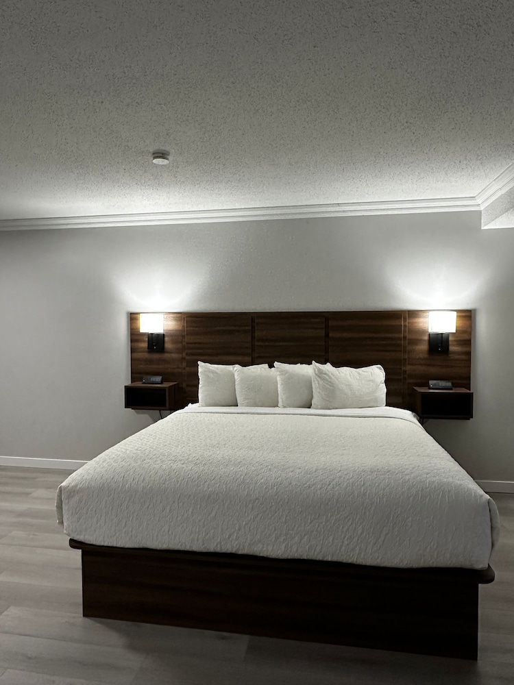 Premium Room, 1 King Bed, Kitchenette photo 2
