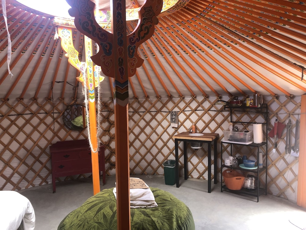 Stargazing Yurt No.6 photo 2