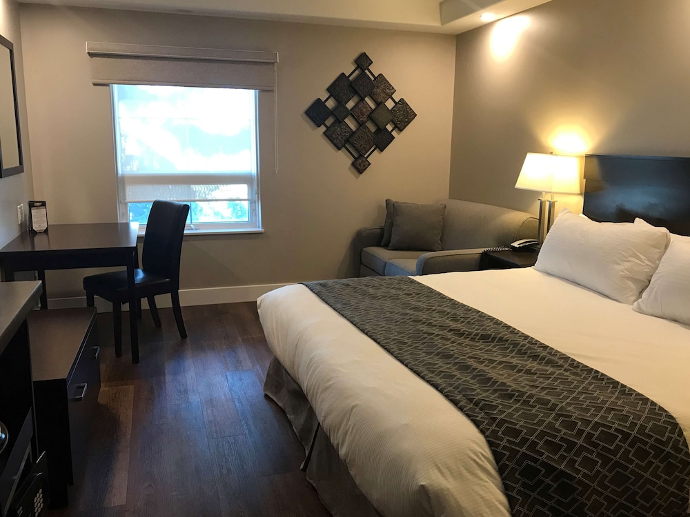 Executive Room, 1 King Bed photo 1