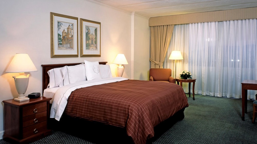 Deluxe Room, 1 King Bed, Balcony - Photo 2