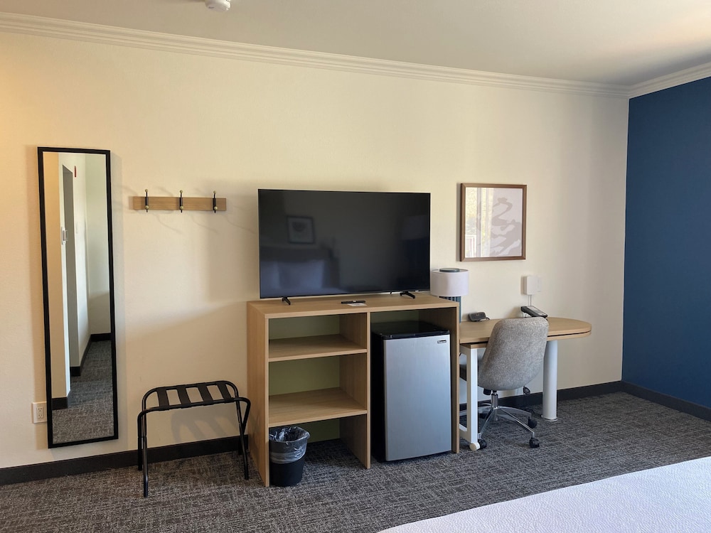 Room, 1 King Bed, Accessible, Bathtub (Mobility & Hearing) photo 3
