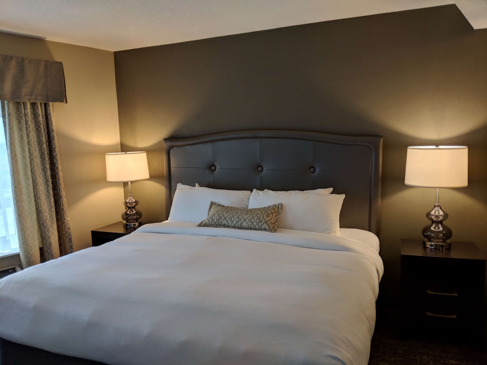 Standard Room, 1 King Bed, Non Smoking, Refrigerator & Microwave photo 3