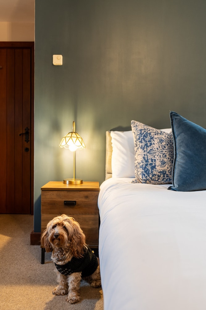 Deluxe Double Room, Ensuite photo 3