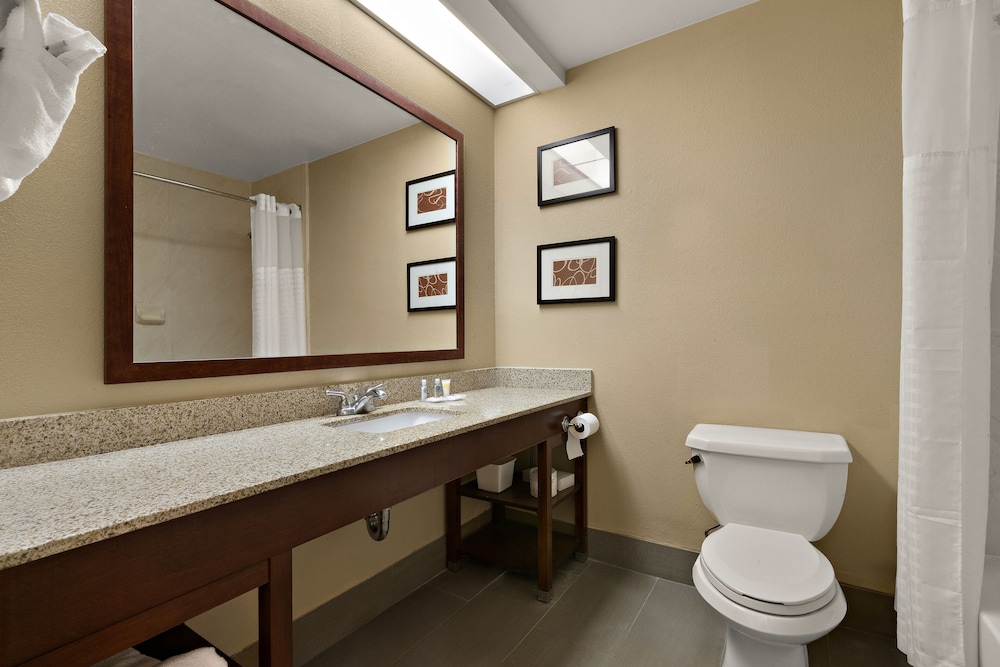 Room, 1 King Bed, Non Smoking, Jetted Tub - Photo 4