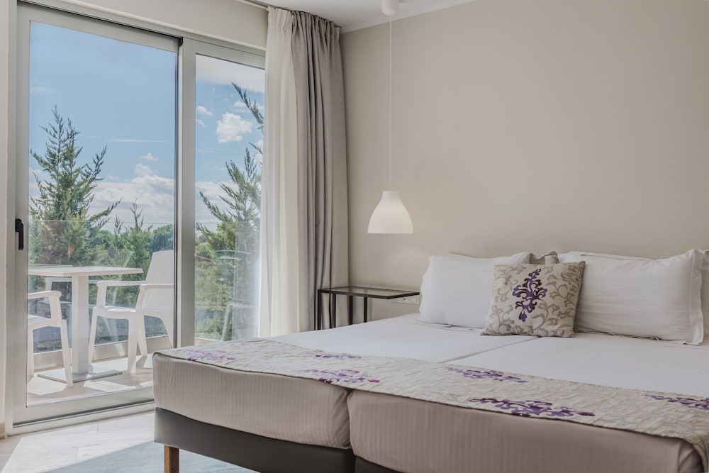 Deluxe Studio Suite, Balcony, City View photo 1