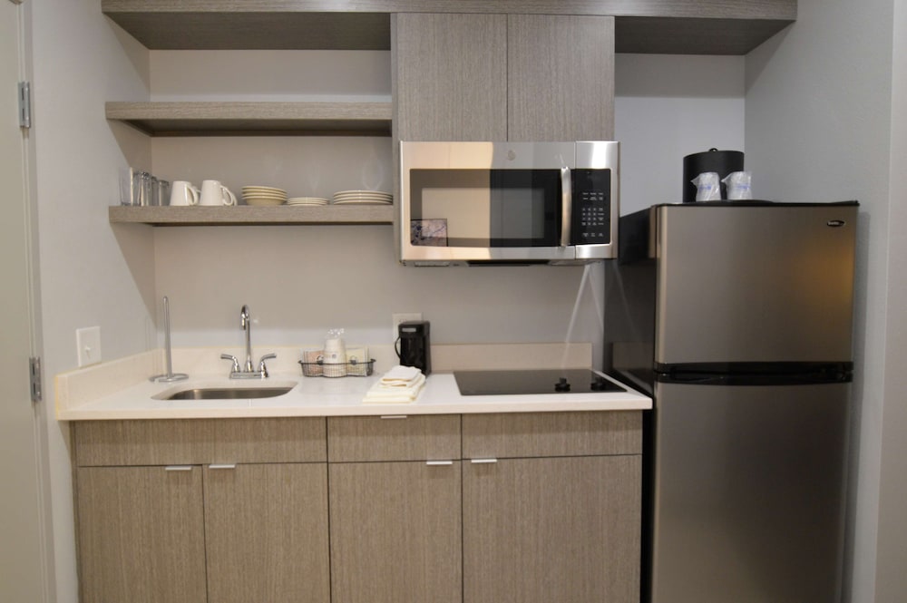 Suite, 1 King Bed, Non Smoking, Kitchenette (Shower Only;with Sofabed) - Photo 4