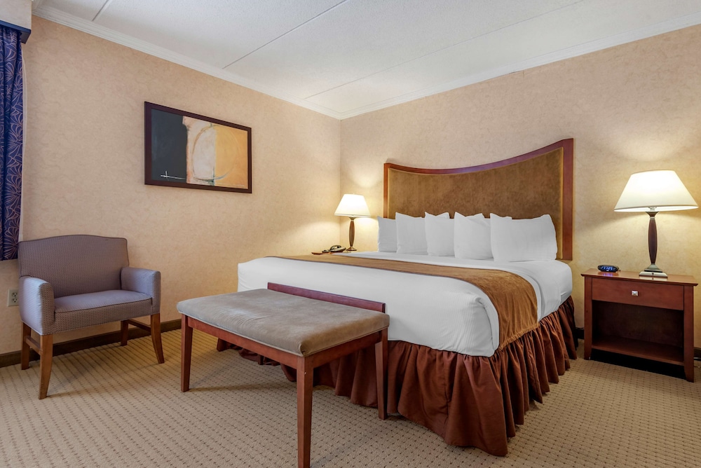 Suite, 1 King Bed, Refrigerator, River View (with Sofabed), photo 6