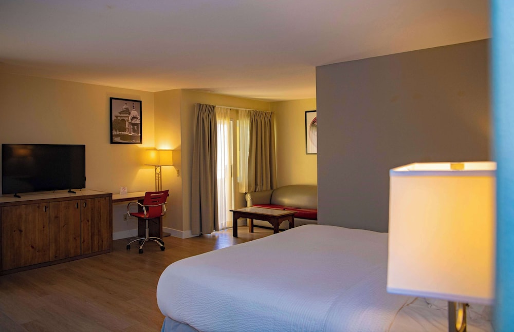 Suite, 1 King Bed - Photo 1
