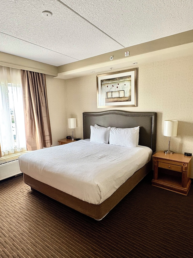 Business Suite, 1 King Bed with Sofa bed, Non Smoking - Photo 1