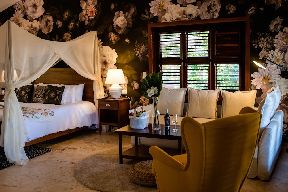 La Ciguita - Tropical Jr. Suite photo 1
