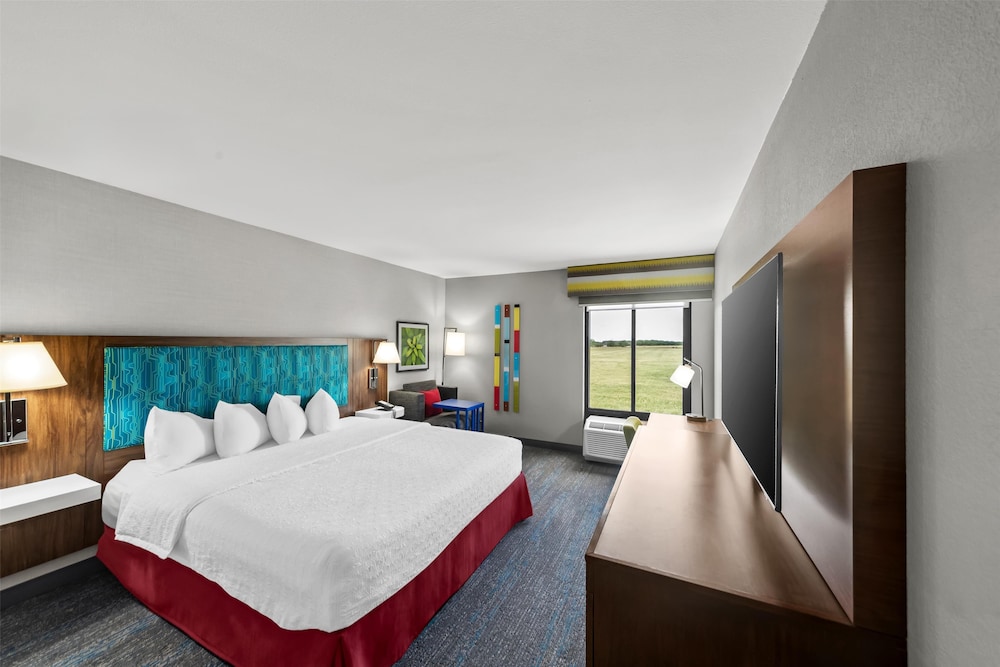 Room, 1 King Bed, Accessible (Mobility & Hearing, 3x3 Shower) photo 1