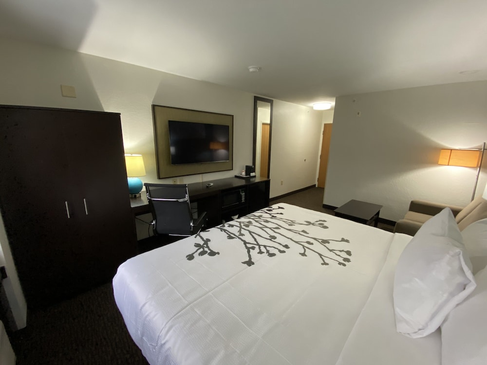 Room, 1 King Bed with Sofa bed, Non Smoking (Upgrade) - Photo 2