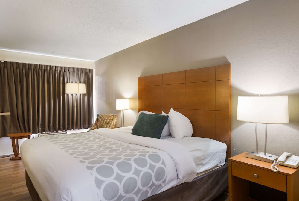 Standard Room, 1 King Bed, Non Smoking - Photo 12