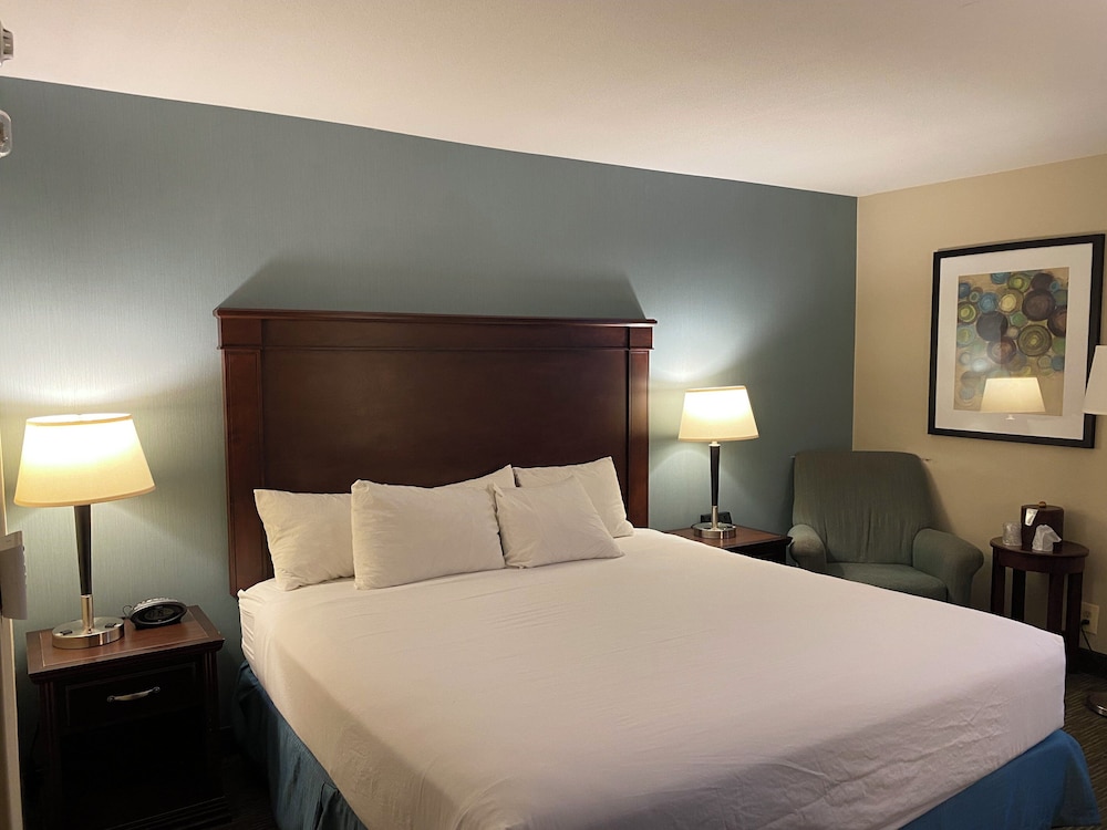 Standard Room, 1 King Bed, Mobility Accessible - Photo 6