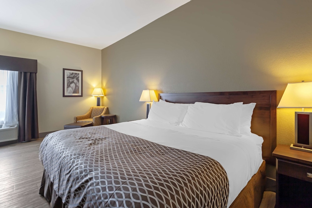 Suite, 1 King Bed, Non Smoking, Refrigerator & Microwave photo 2