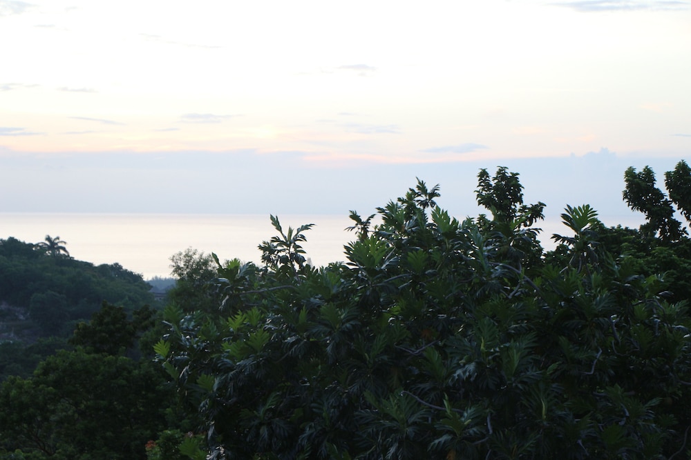 Luxury Villa photo 3