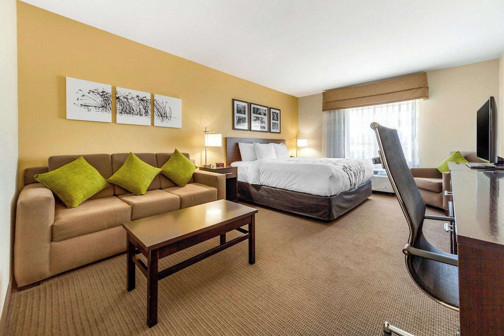 Suite, 1 King Bed with Sofa bed photo 3