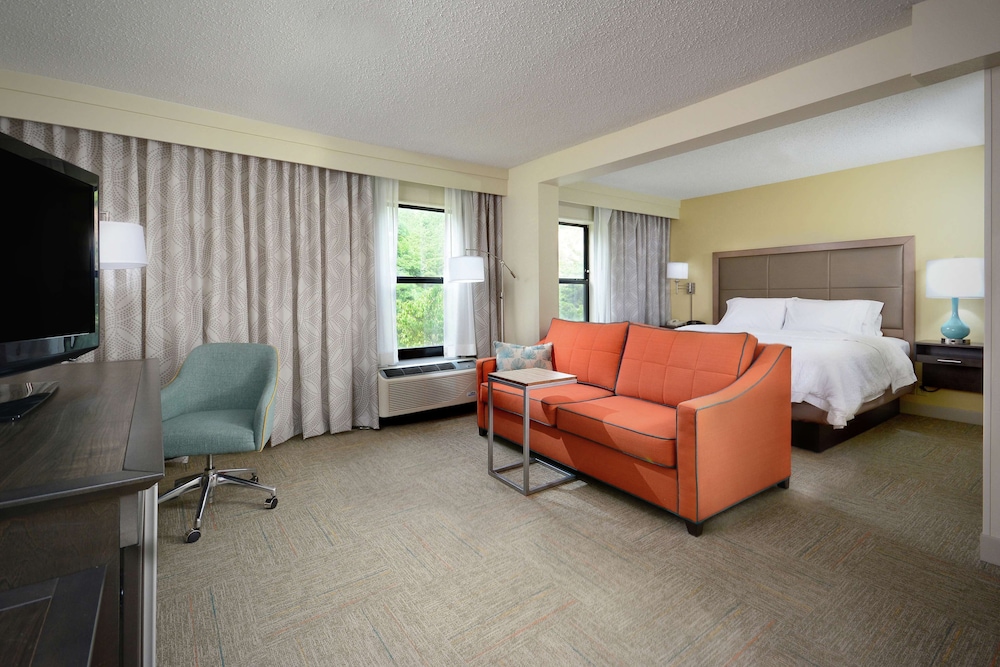 Suite, 1 King Bed, Non Smoking (Shower Only) photo 1