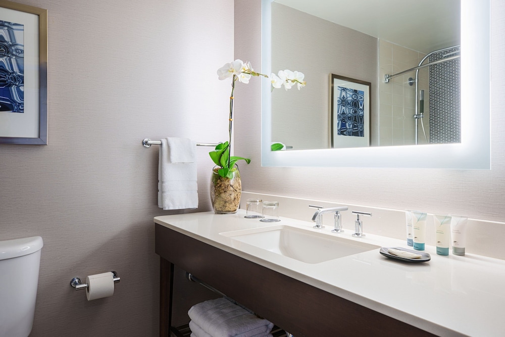 Room, 1 King Bed, Park View (Mobility Accessible, Roll-in Shower) - Photo 6