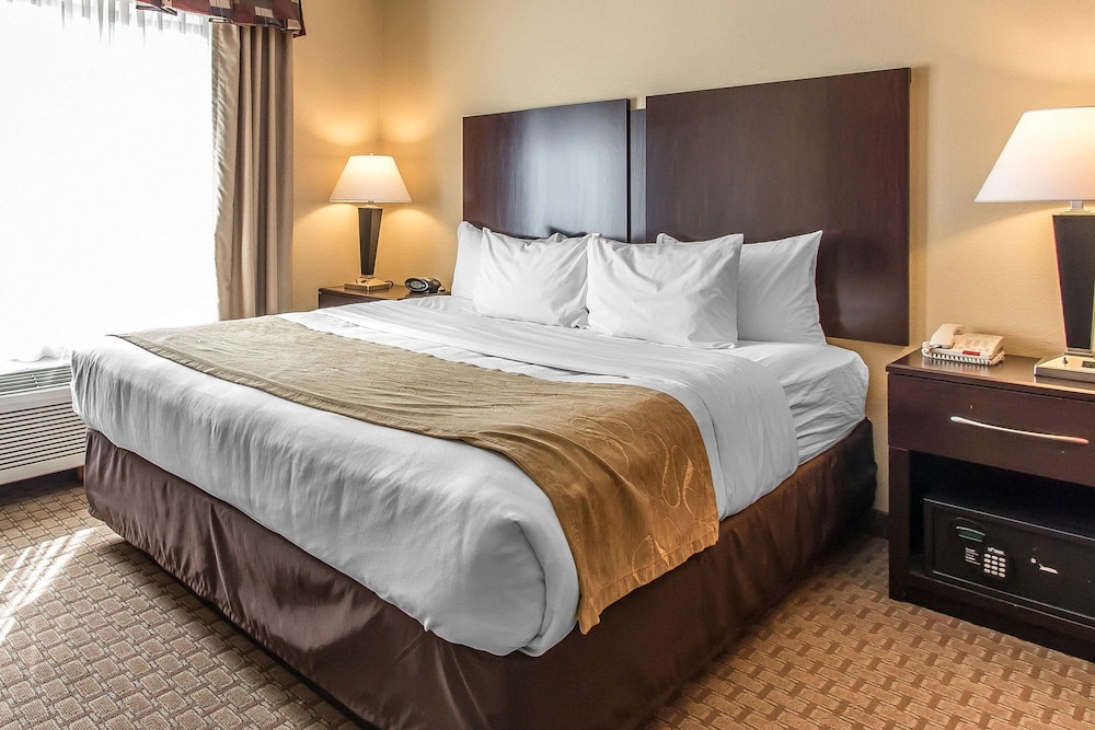 Standard Room, 1 King Bed, Non Smoking - Photo 6