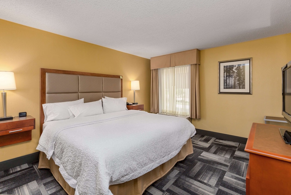 Suite, 1 King Bed, Non Smoking photo 2